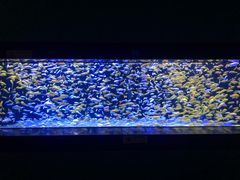 -成都浩海立方海洋公园