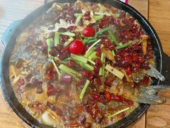 -老板恋上鱼(恒隆广场店)