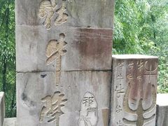 -祁门牯牛降观音堂风景区