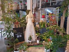 -蓝山四季西餐植物店