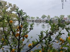 -无锡蠡湖国家湿地公园-蠡园