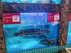 -潮州府·潮菜·砂锅粥(徐家汇店)
