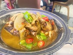 -阿露佳·舌尖上的安吉菜