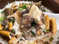 -红星光发煲仔饭(大石街店)