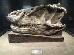 -自贡恐龙博物馆