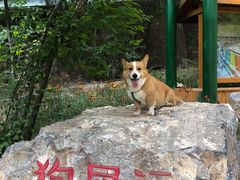 -十渡东湖港风景区
