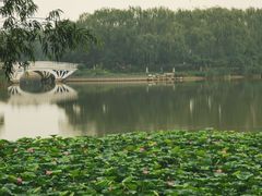 -大兴滨河森林公园