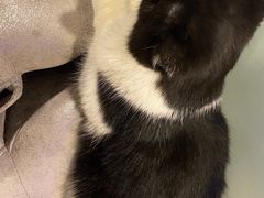 -平行世界·猫咖(首经贸店)