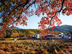 -塔川景区