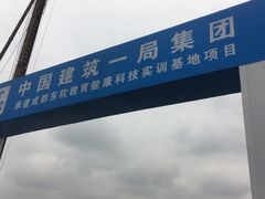 -张醪糟