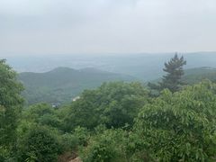 -雨花胜境