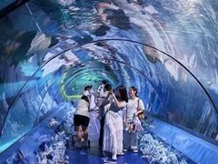 -重庆欢乐海底世界