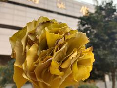 -浙江工业大学（朝晖校区）-游泳馆