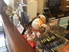 -宠爱国际动物医院· 猫科· 外科·中兽医(长白店)