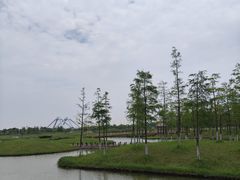 -春花秋色城市公园