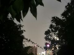 -深圳国际园林花卉博览园