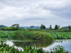 -东钱湖旅游度假区