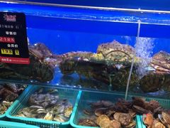 水产区-船梆煮•蒸汽海鲜·生腌干蒸(五四广场店)