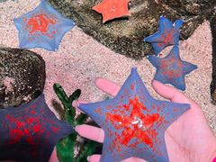 -沈阳海洋探索中心