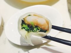 黄瓜鸡蛋虾仁水饺-喜鼎海胆水饺(柏威年购物中心店)
