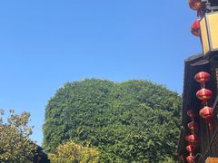 -龙泉山庄
