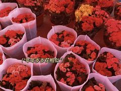 -李村大集