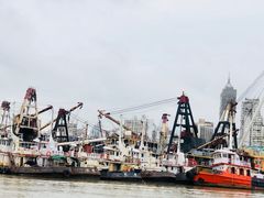 -澳门环岛游湾仔码头