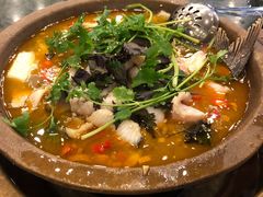 -重庆火锅水库鱼庄(南油店)