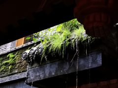 -鱼桥巷·美学川菜