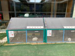 -廊坊固安福朋喜来登酒店