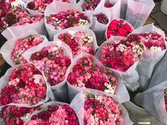 -秦美花卉(天朗·莱茵小城2期店)