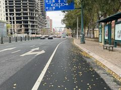 -金刚山烧烤(红旗大街店)