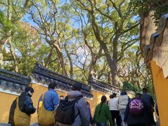 -普陀山风景名胜区-法雨禅寺