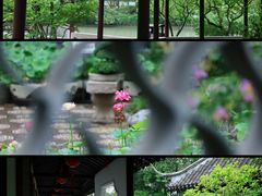 -上海醉白池公园