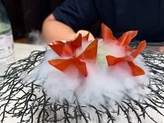 -迦南苑·新派青岛菜·生日纪念日主题餐厅