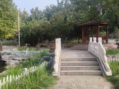 -北京市海淀外国语实验学校