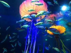 -沈阳海洋探索中心