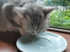 -咖法森林·咖啡  酒吧(天河店)