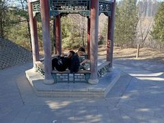 -森林公园(尖草坪区)