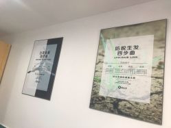 -黑奥秘脱发白发中心