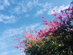 -华南师范大学(广州大学城校区)