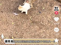 -昆明动物园