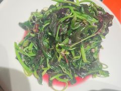 -小厨娘金榜题名(夫子庙秦淮河店)