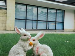 -春晖园度假酒店温泉