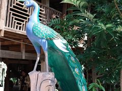 -西双版纳傣族园