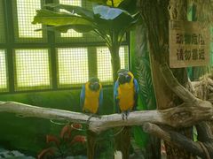 -海合安武汉极地海洋公园