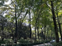 -杭州植物园