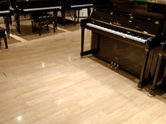 -柏斯音乐艺术中心·钢琴·吉他(世纪金源店)