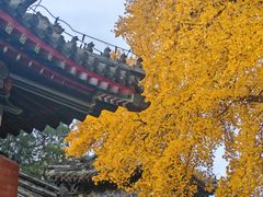 -承恩寺