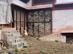 -比如骷髅墙景区